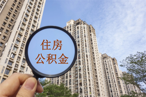 公积金还看征信吗吗_商水公积金代办在职离职封存服务